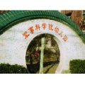 中国人民解放军军事医学科学院幼儿园
