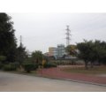 福州市金山实验小学