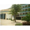 广州市越秀区中星小学