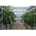 深圳市坪山新区碧岭小学（原沙坑小学）