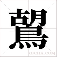 鶦